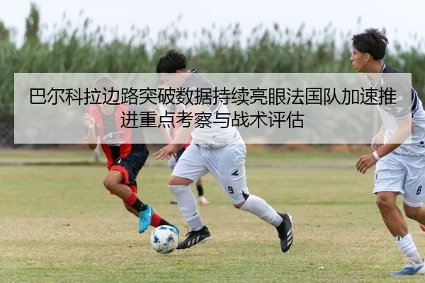 img_1783703334708_75_1_466.jpg